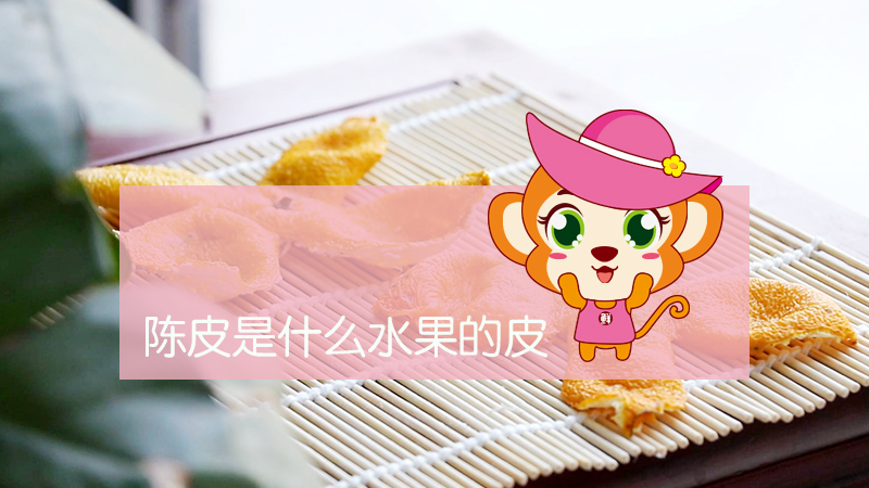 陳皮是什么水果的皮