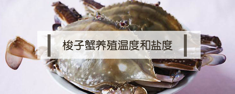 梭子蟹養殖溫度和鹽度