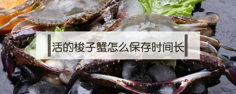 活的梭子蟹怎么保存時間長