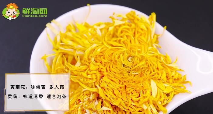 黃菊花與貢菊的區別