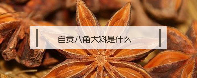 自貢八角大料是什么