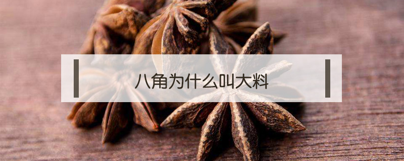 八角為什么叫大料