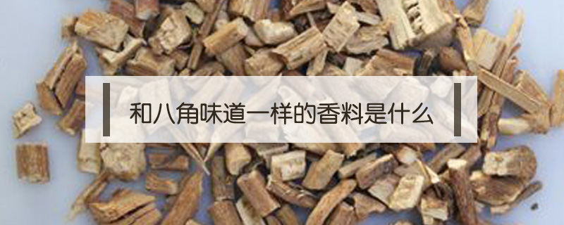 和八角味道一樣的香料是什么