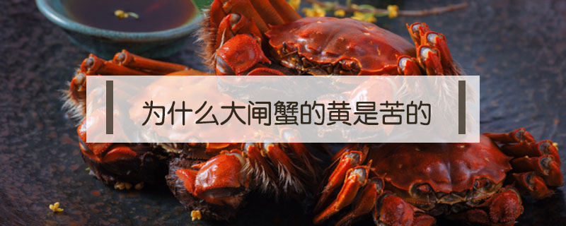為什么大閘蟹的黃是苦的