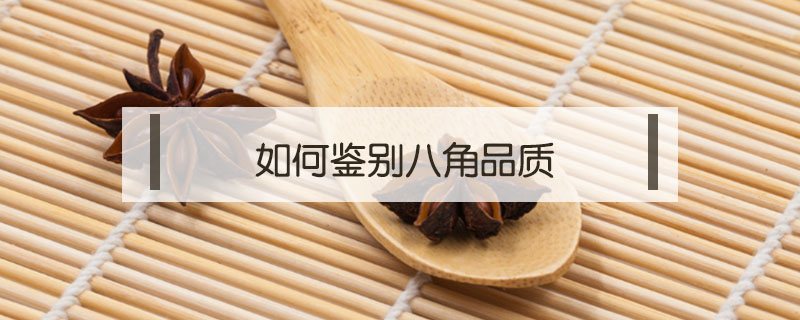 如何鑒別八角品質