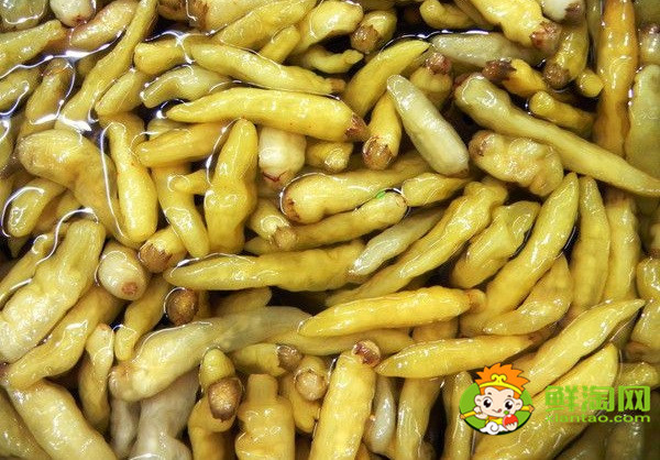 泡椒是什么，泡椒有幾個品種