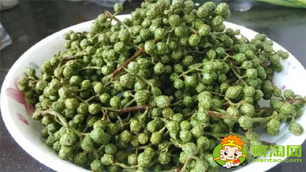 青花椒與藤椒區(qū)別，藤椒和青花椒哪個(gè)麻