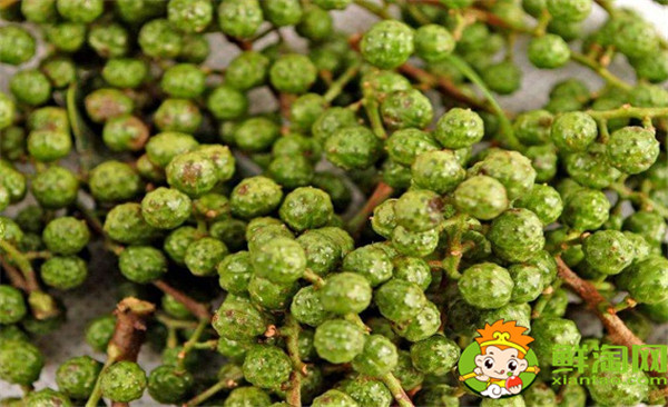 青花椒與藤椒區(qū)別,藤椒和青花椒哪個(gè)麻