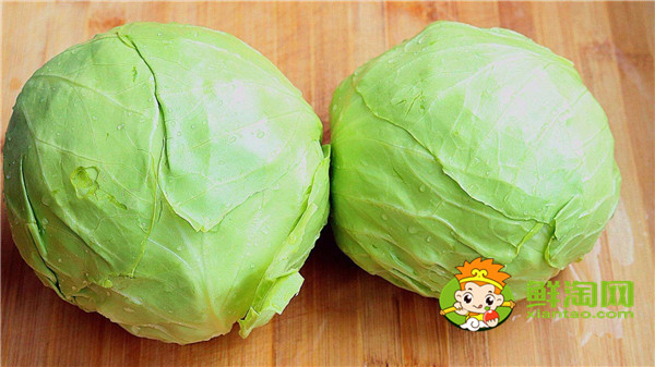 卷心菜和包菜有什么區別，怎樣區別包菜和卷心菜