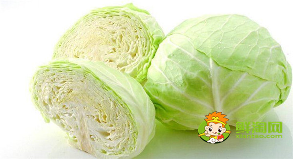卷心菜做沙拉要焯水嗎，日式卷心菜絲是生的嗎