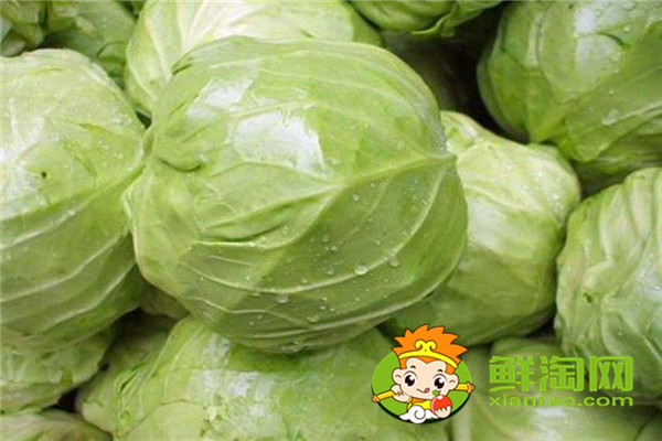 包萊怎么保存兩個月，包菜放冰箱兩個月還能吃嗎