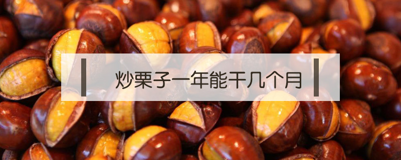 炒栗子一年能干幾個月