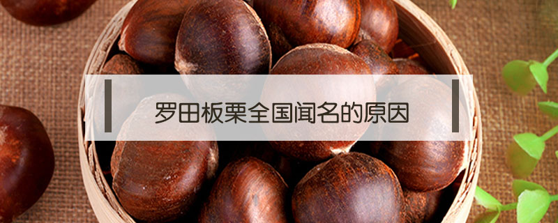 羅田板栗全國聞名的原因