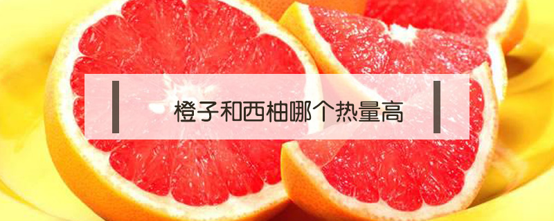 橙子和西柚哪個熱量高