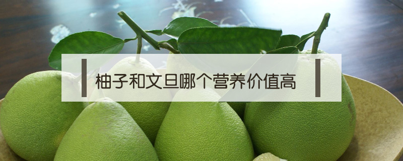 柚子和文旦哪個(gè)營(yíng)養(yǎng)價(jià)值高