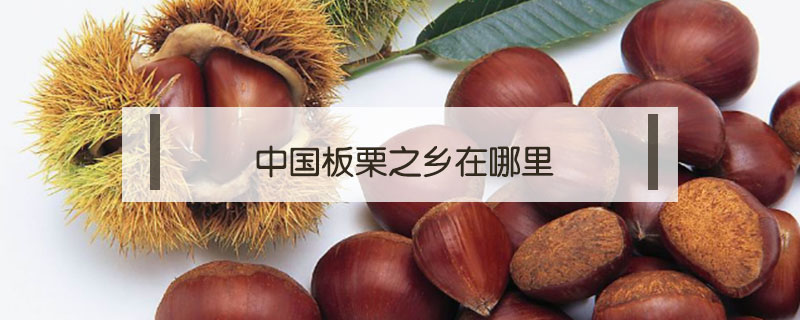 中國板栗之鄉(xiāng)在哪里