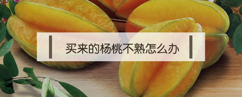 買來的楊桃不熟怎么辦