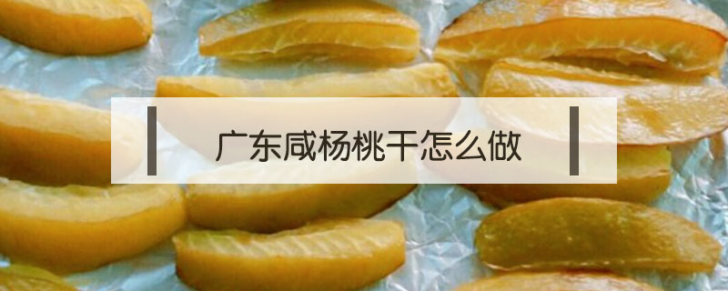 廣東咸楊桃干怎么做