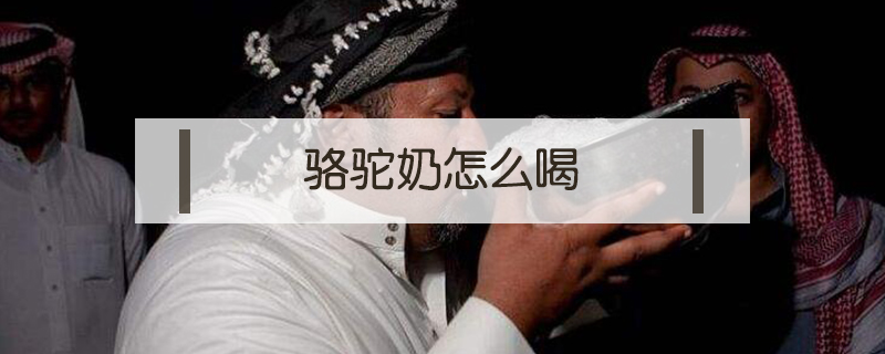 駱駝奶怎么喝
