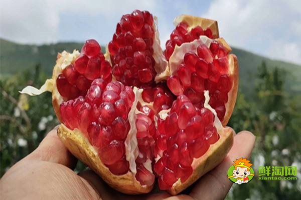 為什么石榴還沒熟就裂口呢，石榴裂口處壞了還會(huì)吃嗎
