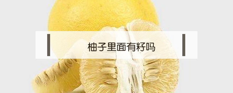 柚子里面有籽嗎