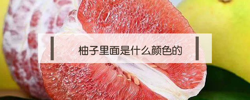 柚子里面是什么顏色的
