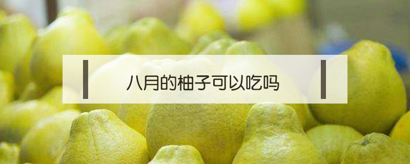 八月的柚子可以吃嗎