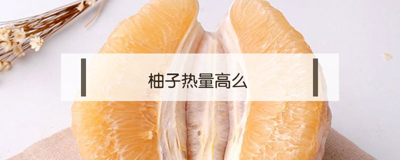 柚子熱量高么