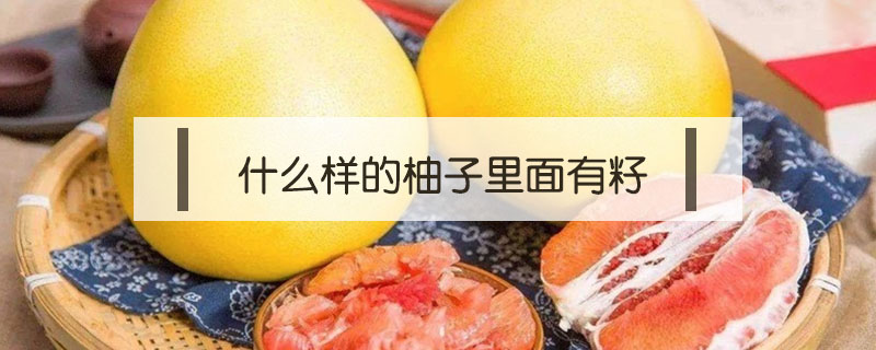 什么樣的柚子里面有籽