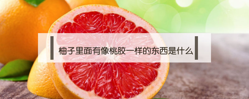 柚子里面有像桃膠一樣的東西是什么