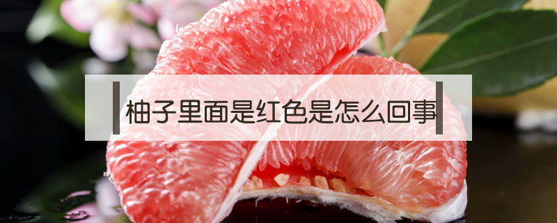 柚子里面是紅色是怎么回事