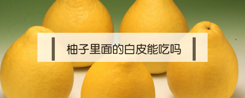 柚子里面的白皮能吃嗎