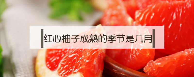紅心柚子成熟的季節是幾月