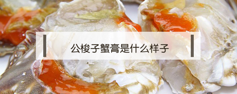 公梭子蟹膏是什么樣子