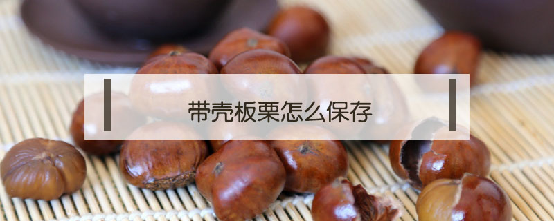 帶殼板栗怎么保存