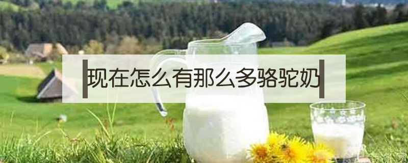 現在怎么有那么多駱駝奶