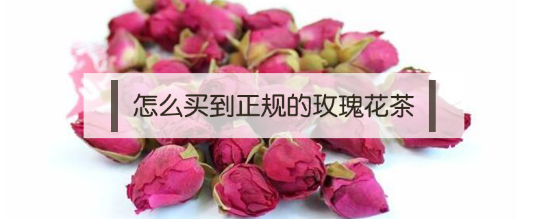 怎么買到正規的玫瑰花茶