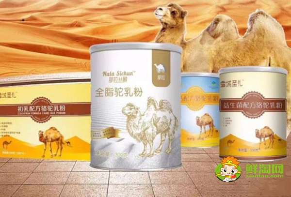 正宗的駱駝奶粉多少錢一斤，哪里能買到正宗的駱駝奶粉