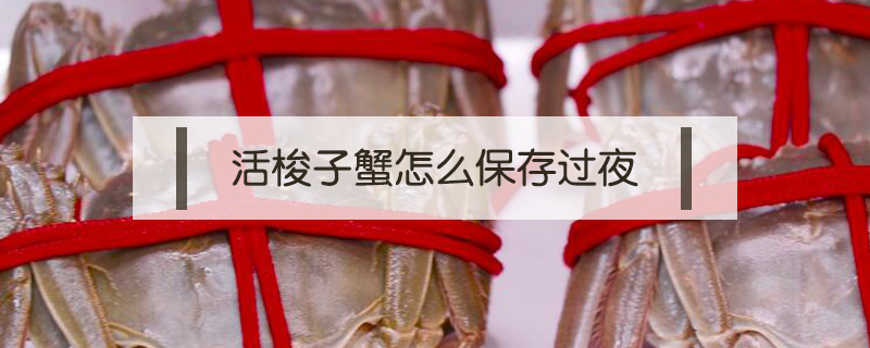 活梭子蟹怎么保存過夜