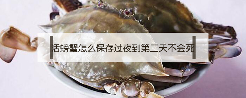 活螃蟹怎么保存過夜到第二天不會(huì)死