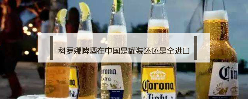 科羅娜啤酒在中國是罐裝還還是全進口