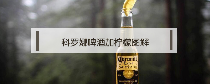 科羅娜啤酒加檸檬圖解
