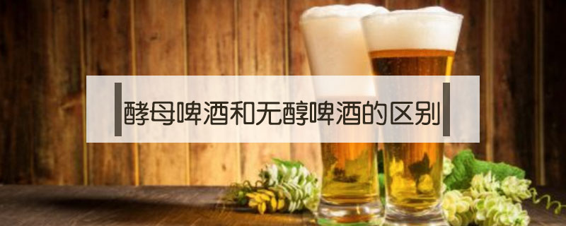 酵母啤酒和無醇啤酒的區別