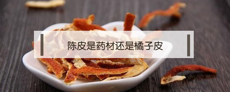 陳皮是藥材還是橘子皮