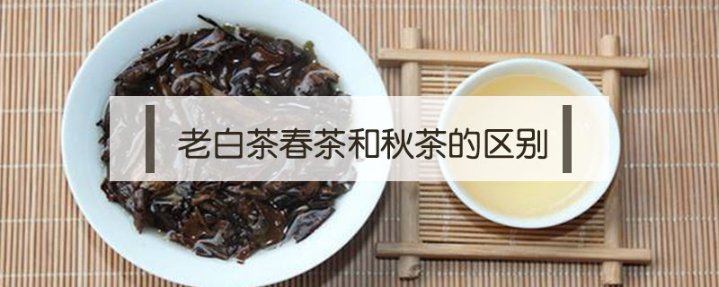 老白茶春茶和秋茶的區別