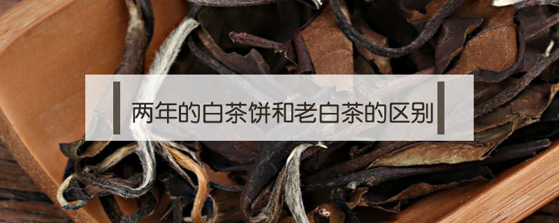 兩年的白茶餅和老白茶的區(qū)別