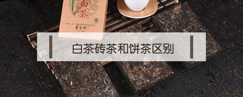 白茶磚茶和餅茶區(qū)別