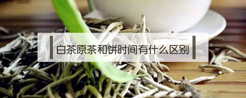 白茶原茶和餅時間有什么區別