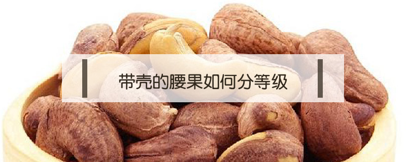帶殼的腰果如何分等級
