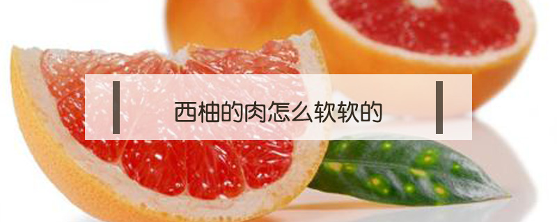 西柚的肉怎么軟軟的